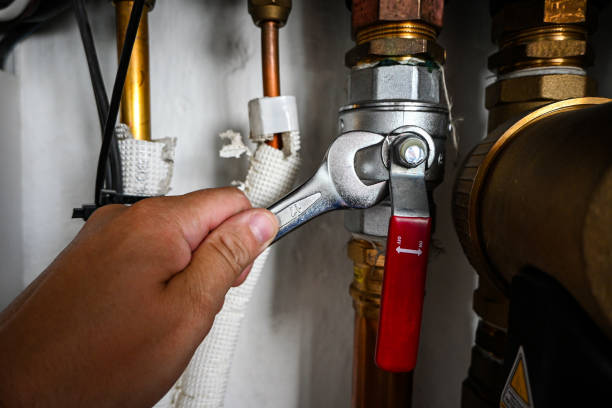 Best Leak Detection Services  in Florissant, MO